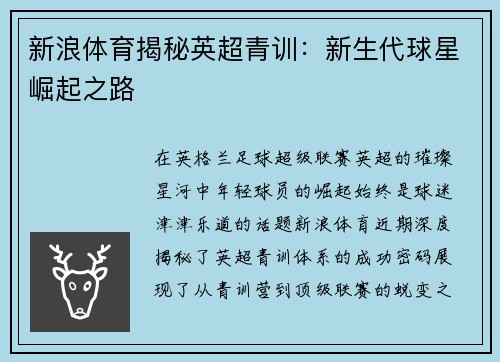新浪体育揭秘英超青训：新生代球星崛起之路
